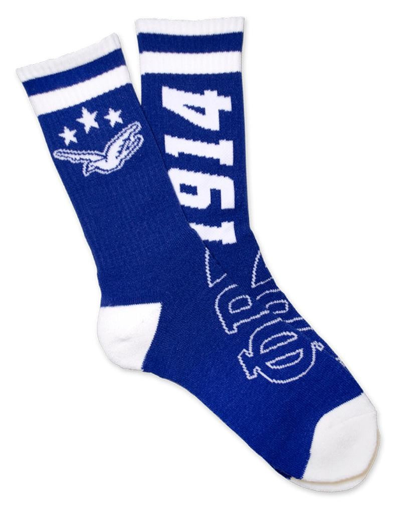 PBS Socks